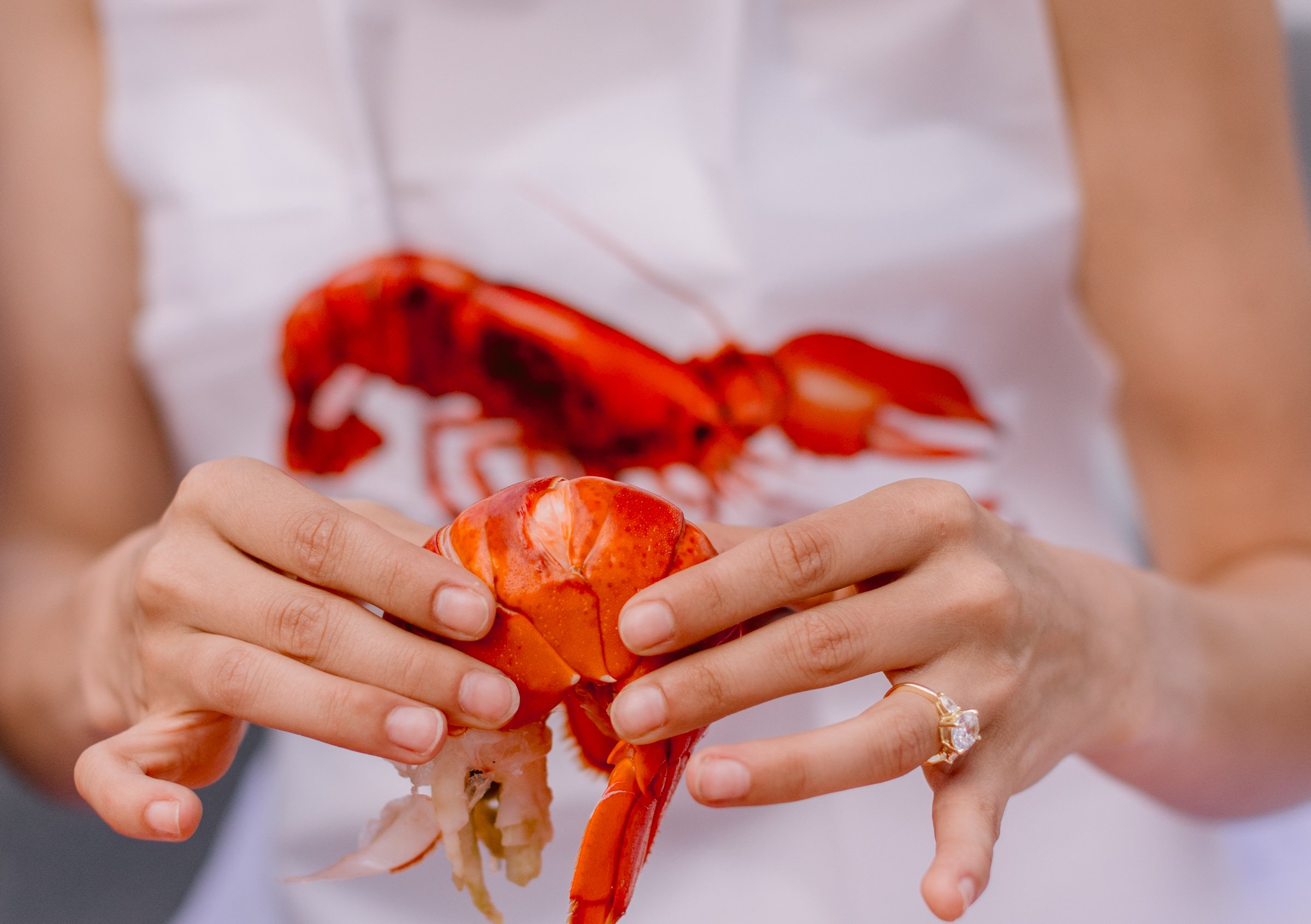 Acadia-National-park-how-to-elope-lobster-boat-tour-maine-MoonRisingPhotography-2641.jpg