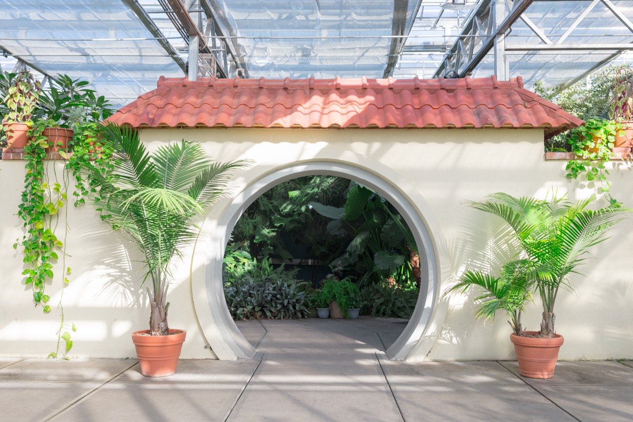 roger williams botanical garden wedding